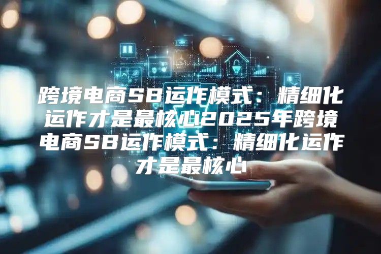 跨境电商SB运作模式：精细化运作才是最核心2025年跨境电商SB运作模式：精细化运作才是最核心