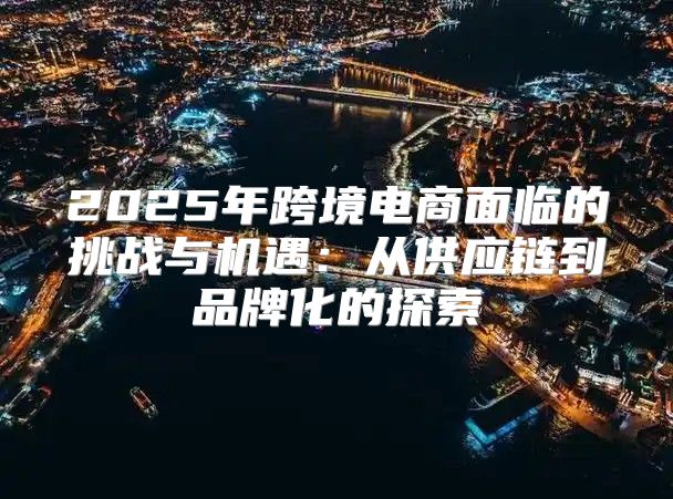 2025年跨境电商面临的挑战与机遇：从供应链到品牌化的探索