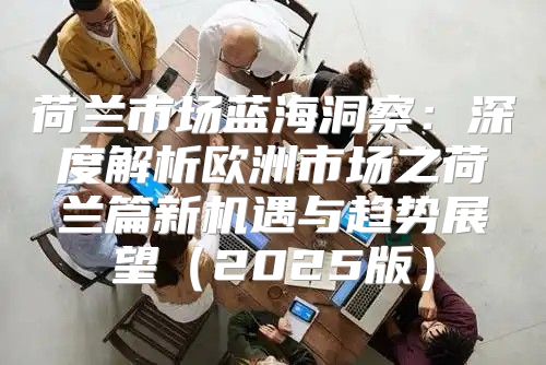 荷兰市场蓝海洞察：深度解析欧洲市场之荷兰篇新机遇与趋势展望2025版