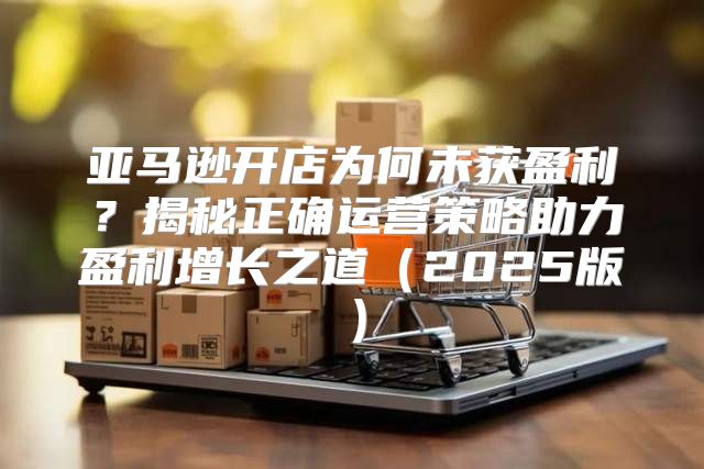 亚马逊开店为何未获盈利？揭秘正确运营策略助力盈利增长之道2025版