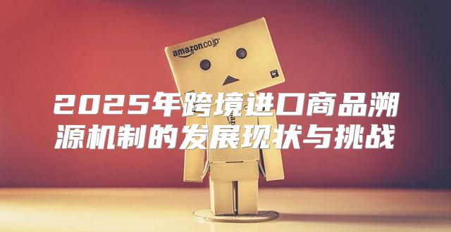 2025年跨境进口商品溯源机制的发展现状与挑战