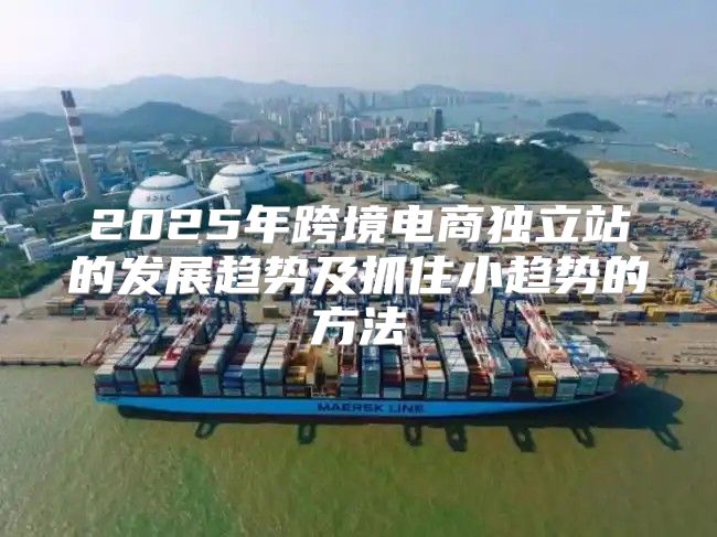 2025年跨境电商独立站的发展趋势及抓住小趋势的方法