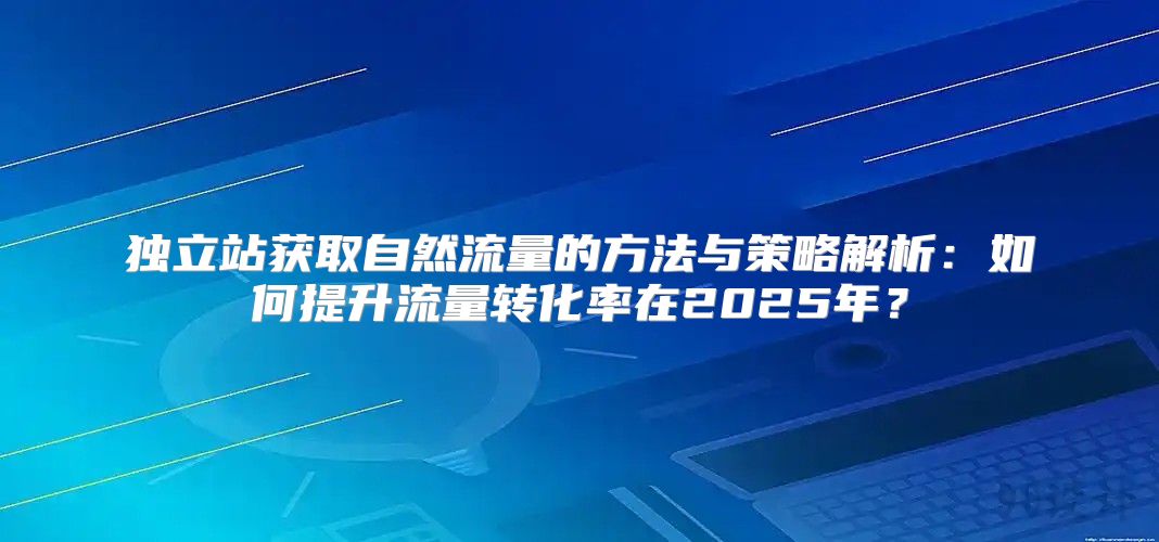 独立站获取自然流量的方法与策略解析：如何提升流量转化率在2025年？