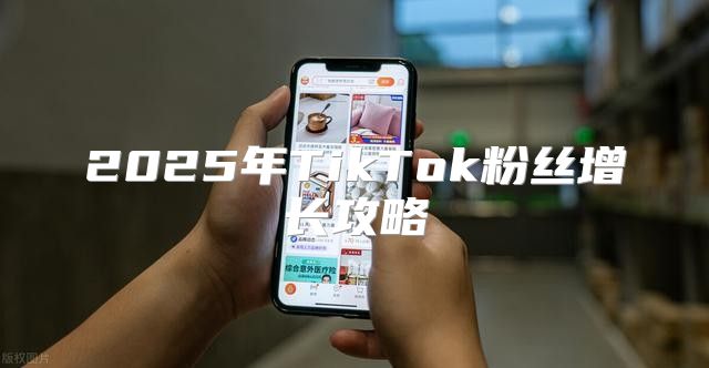 2025年TikTok粉丝增长攻略