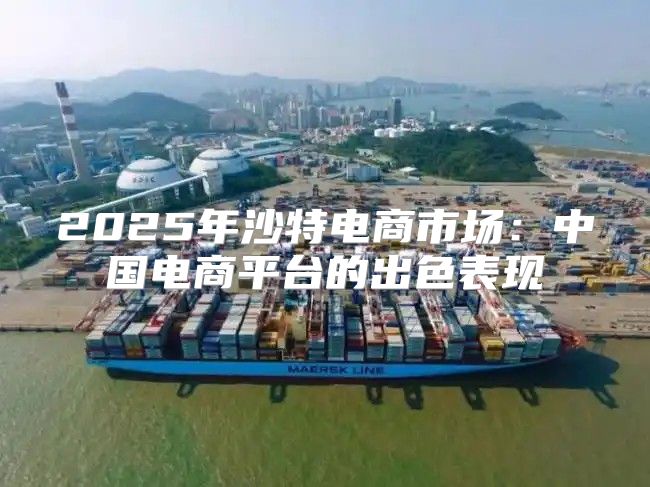 2025年沙特电商市场：中国电商平台的出色表现