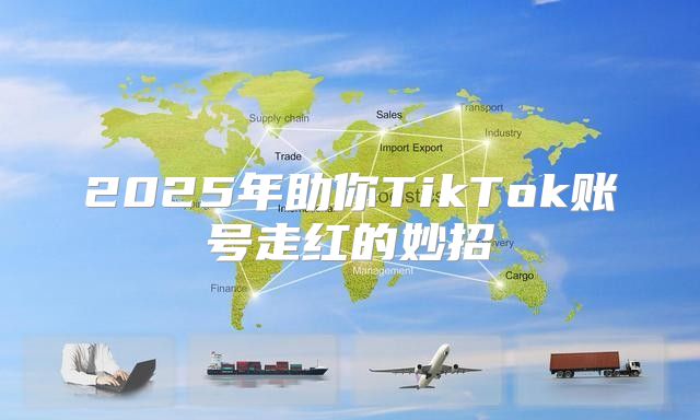 2025年助你TikTok账号走红的妙招