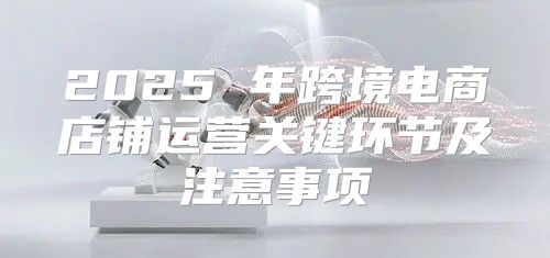 2025 年跨境电商店铺运营关键环节及注意事项