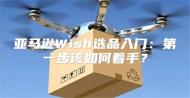 亚马逊Wish选品入门：第一步该如何着手？