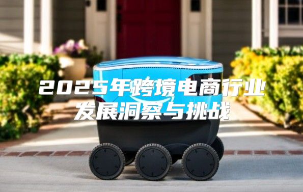 2025年跨境电商行业发展洞察与挑战