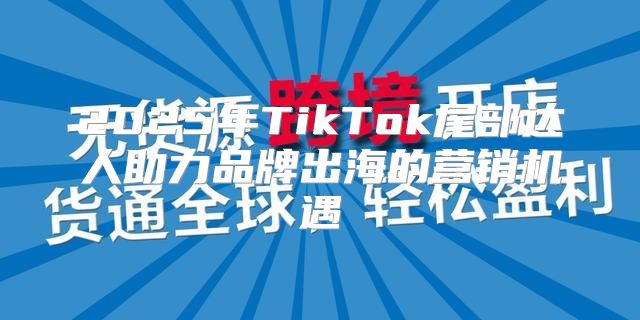 2025年TikTok尾部达人助力品牌出海的营销机遇