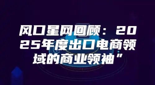 风口星网回顾：2025年度出口电商领域的商业领袖”