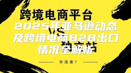 2025年亚马逊动态及跨境电商B2B出口情况全解析