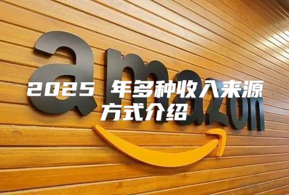 2025 年多种收入来源方式介绍