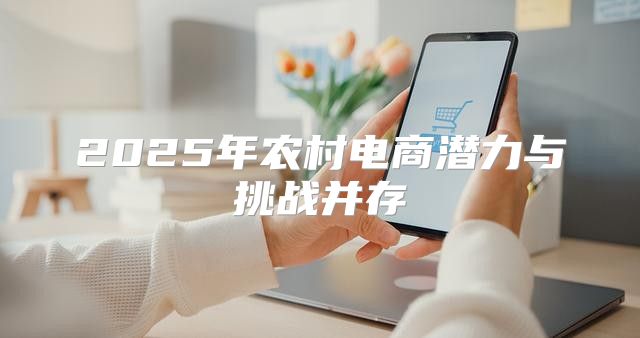 2025年农村电商潜力与挑战并存