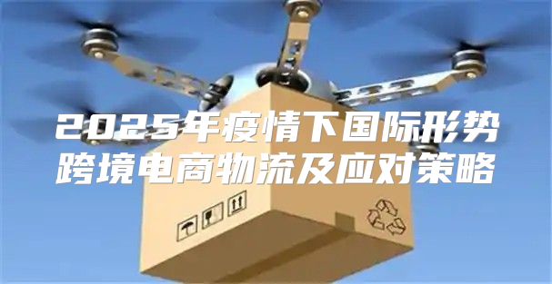 2025年疫情下国际形势跨境电商物流及应对策略