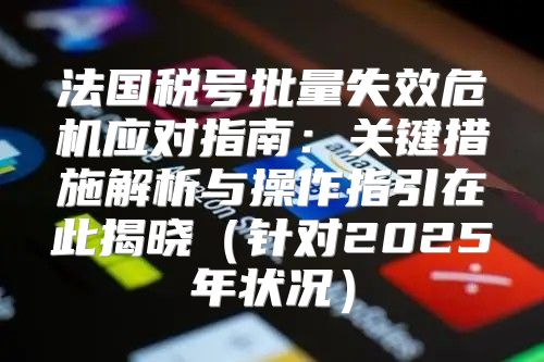 法国税号批量失效危机应对指南：关键措施解析与操作指引在此揭晓针对2025年状况