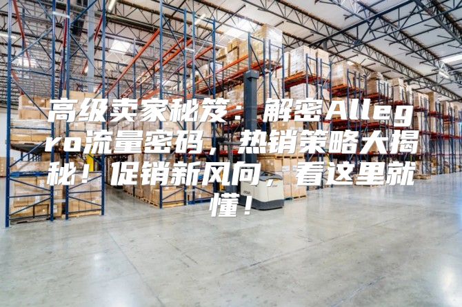 高级卖家秘笈：解密Allegro流量密码，热销策略大揭秘！促销新风向，看这里就懂！