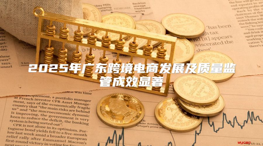 2025年广东跨境电商发展及质量监管成效显著