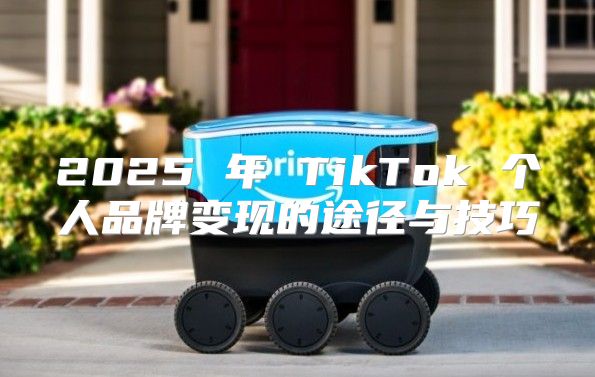 2025 年 TikTok 个人品牌变现的途径与技巧