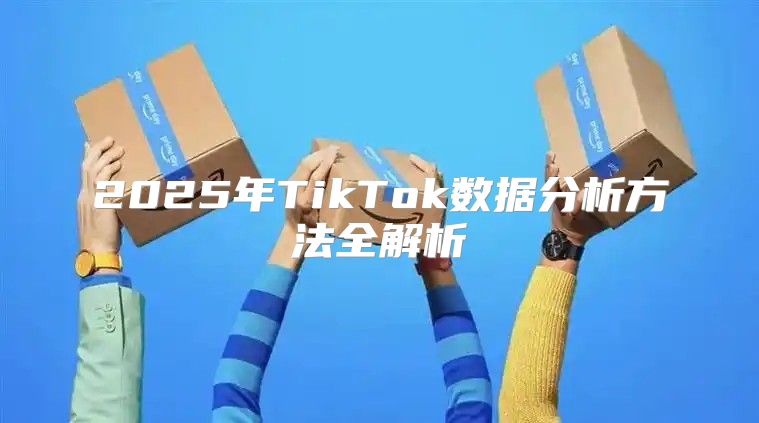 2025年TikTok数据分析方法全解析