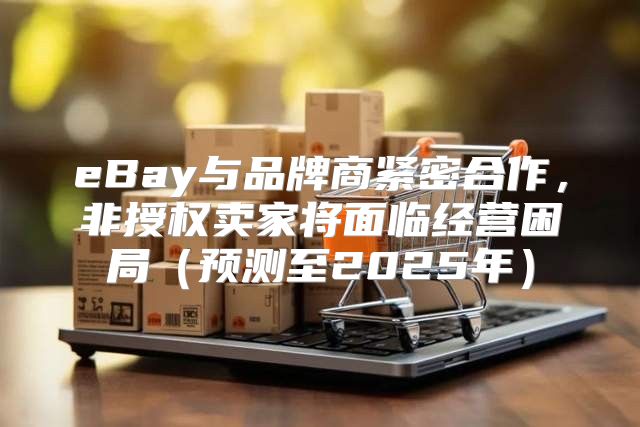 eBay与品牌商紧密合作，非授权卖家将面临经营困局预测至2025年