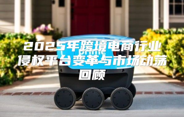 2025年跨境电商行业侵权平台变革与市场动荡回顾