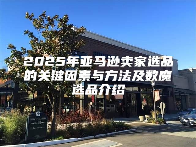 2025年亚马逊卖家选品的关键因素与方法及数魔选品介绍