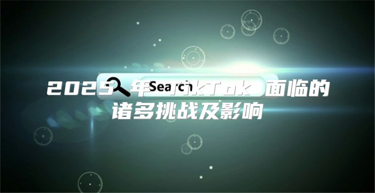 2025 年 TikTok 面临的诸多挑战及影响