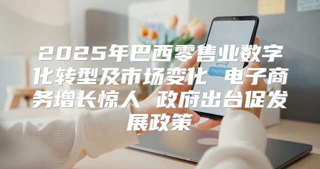 2025年巴西零售业数字化转型及市场变化 电子商务增长惊人 政府出台促发展政策