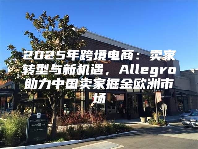 2025年跨境电商：卖家转型与新机遇，Allegro助力中国卖家掘金欧洲市场