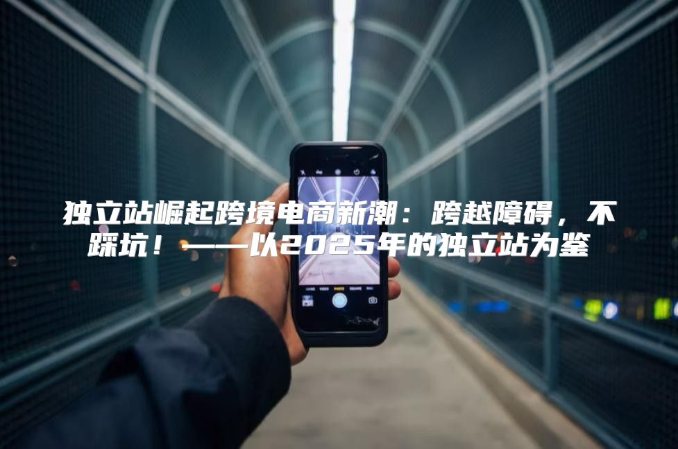 独立站崛起跨境电商新潮：跨越障碍，不踩坑！——以2025年的独立站为鉴