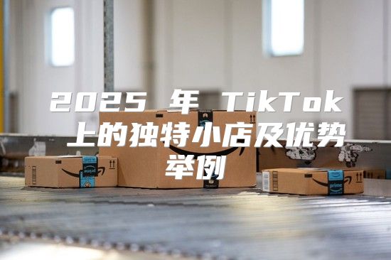 2025 年 TikTok 上的独特小店及优势举例
