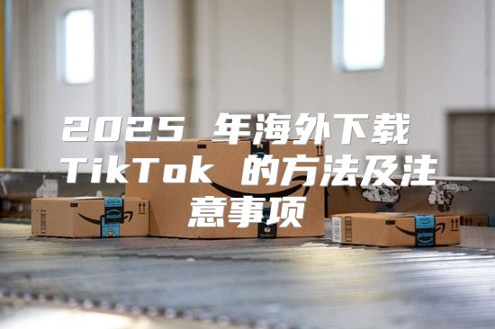 2025 年海外下载 TikTok 的方法及注意事项