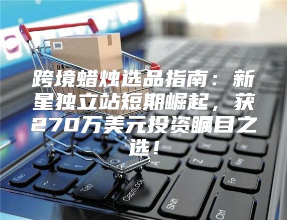 跨境蜡烛选品指南：新星独立站短期崛起，获270万美元投资瞩目之选！