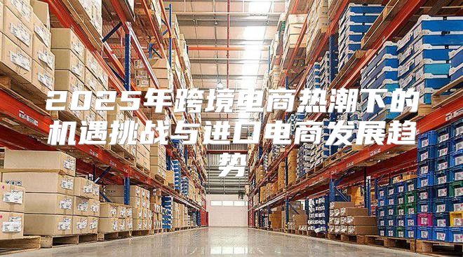 2025年跨境电商热潮下的机遇挑战与进口电商发展趋势
