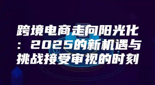 跨境电商走向阳光化：2025的新机遇与挑战接受审视的时刻