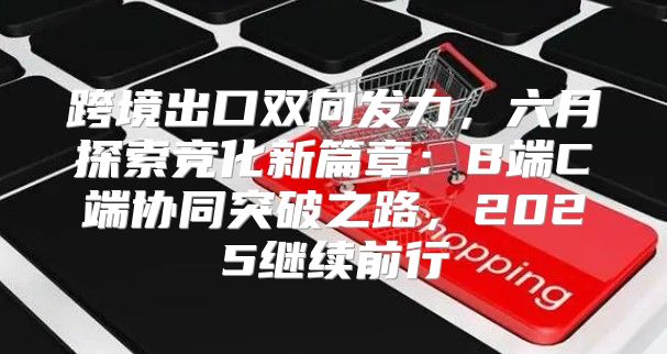 跨境出口双向发力，六月探索竞化新篇章：B端C端协同突破之路，2025继续前行