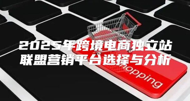 2025年跨境电商独立站联盟营销平台选择与分析