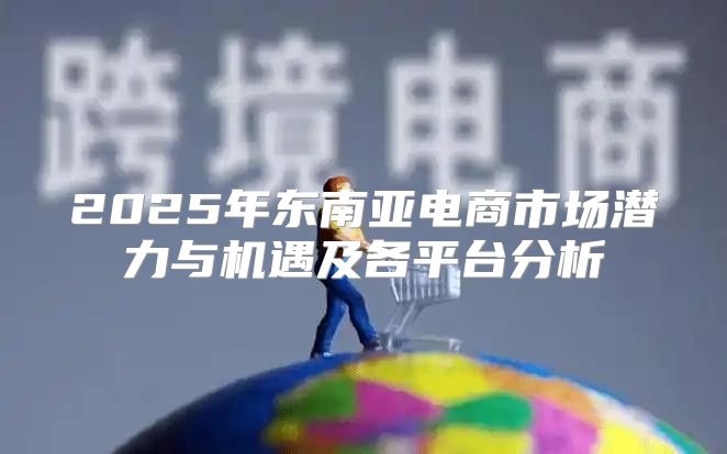 2025年东南亚电商市场潜力与机遇及各平台分析