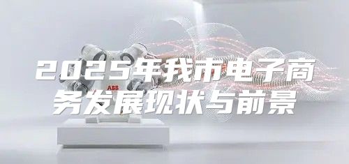 2025年我市电子商务发展现状与前景
