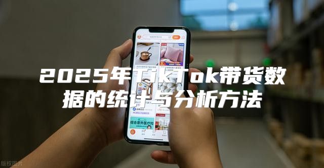 2025年TikTok带货数据的统计与分析方法