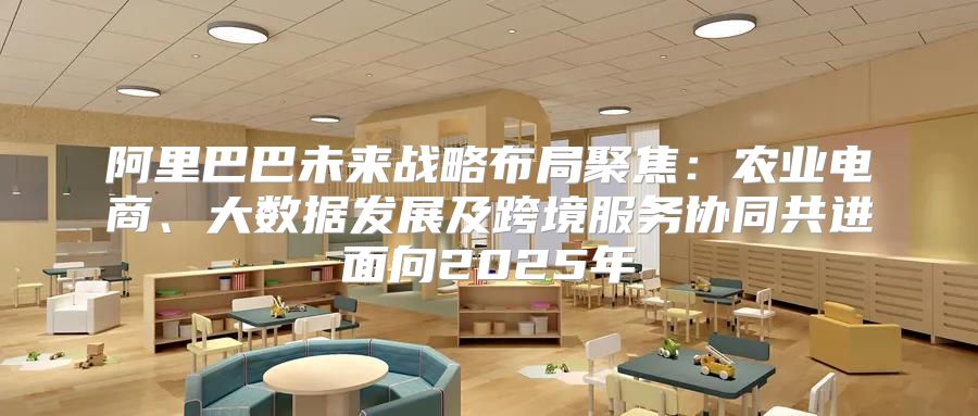 阿里巴巴未来战略布局聚焦：农业电商、大数据发展及跨境服务协同共进面向2025年
