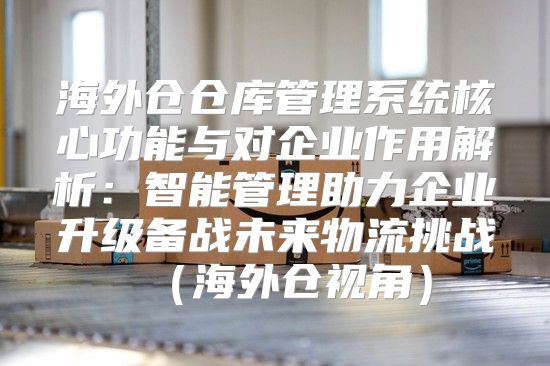 海外仓仓库管理系统核心功能与对企业作用解析：智能管理助力企业升级备战未来物流挑战海外仓视角