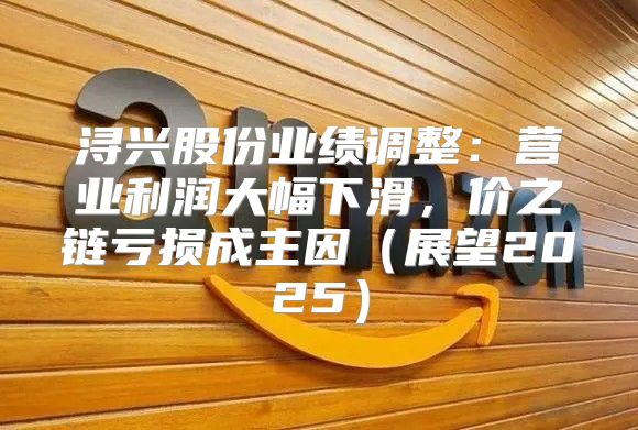 浔兴股份业绩调整：营业利润大幅下滑，价之链亏损成主因展望2025