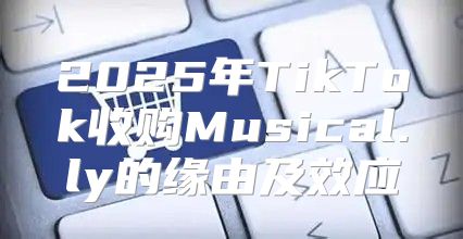 2025年TikTok收购Musical.ly的缘由及效应