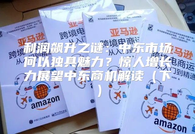 利润飙升之谜：中东市场何以独具魅力？惊人增长力展望中东商机解读下