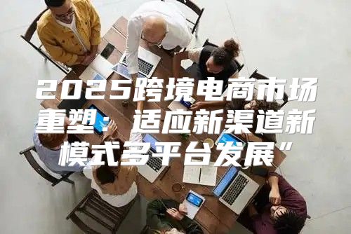 2025跨境电商市场重塑：适应新渠道新模式多平台发展”