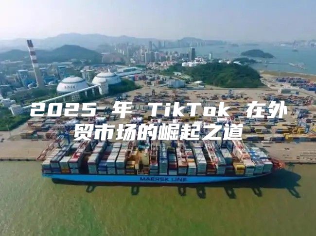 2025 年 TikTok 在外贸市场的崛起之道