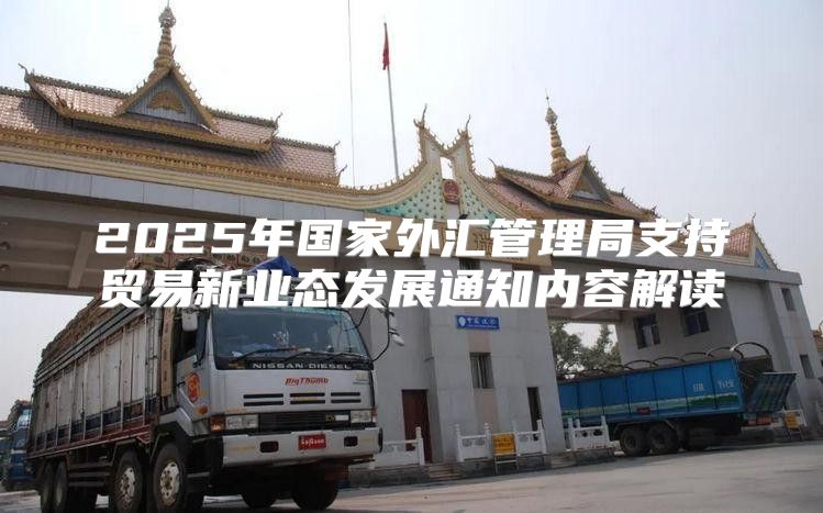 2025年国家外汇管理局支持贸易新业态发展通知内容解读