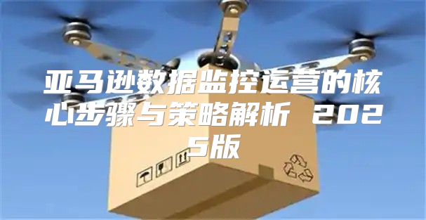 亚马逊数据监控运营的核心步骤与策略解析 2025版